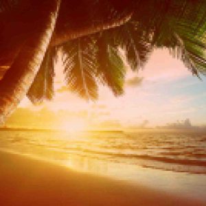 bigstock-sunrise-on-Caribbean-beach-41952856